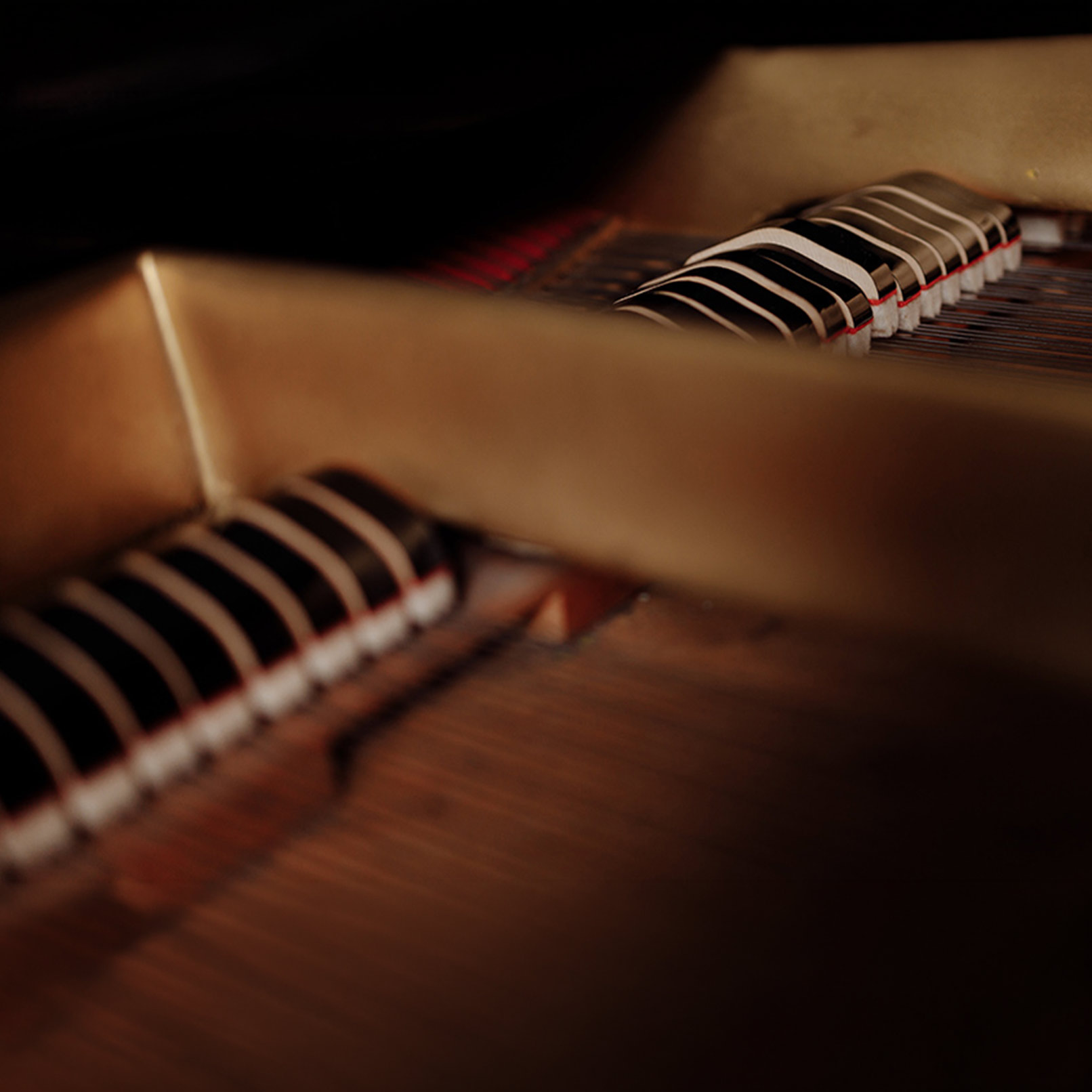 Close-up of the keys and strings inside a grand piano, featured on the Cecilia Concerts Contact page.